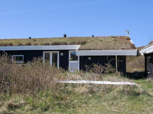Feriehus - 8 personer -  - Egernvej - 9493 - Saltum