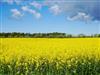 Bild 5 - Ude