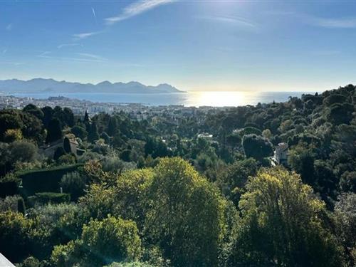 Ferienhaus - 4 Personen -  - 06400 - Cannes