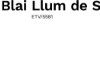 Bilde 10