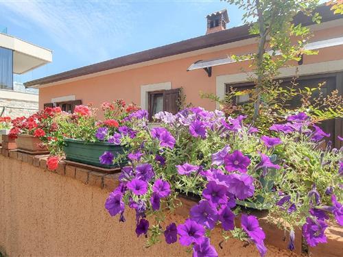 Ferienhaus - 2 Personen -  - Torci - 52466 - Novigrad