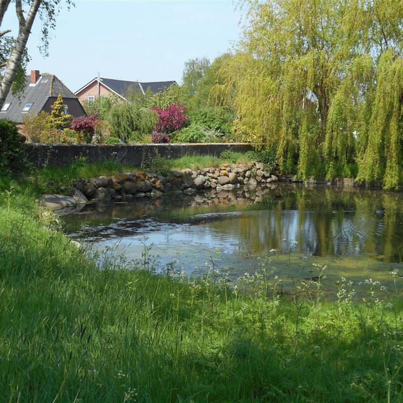 Ferielejlighed - 5 personer -  - Bisdorfer Ring - 23769 - Fehmarn Ot Bisdorf