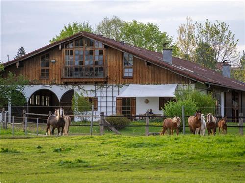 Sommerhus - 7 personer -  - Ufering - 83317 - Teisendorf