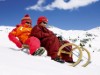 Bild 29