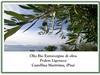 Bild 29