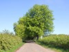 Bild 24