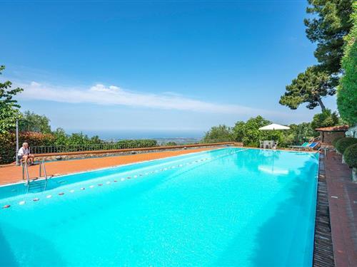 Feriehus - 4 personer -  - Via G. Antonielli, - Pedona - 55041 - Camaiore Lu