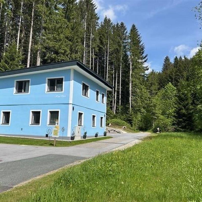 Ferielejlighed - 4 personer -  - Auer-Graben - 8190 - Birkfeld