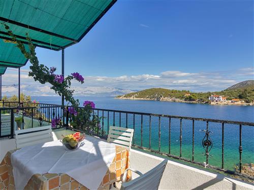 Ferienwohnung - 2 Personen -  - Hvar/Pokrivenik - 21466