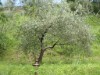 Bild 29 - Aussen