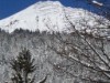Bilde 11 - Ude