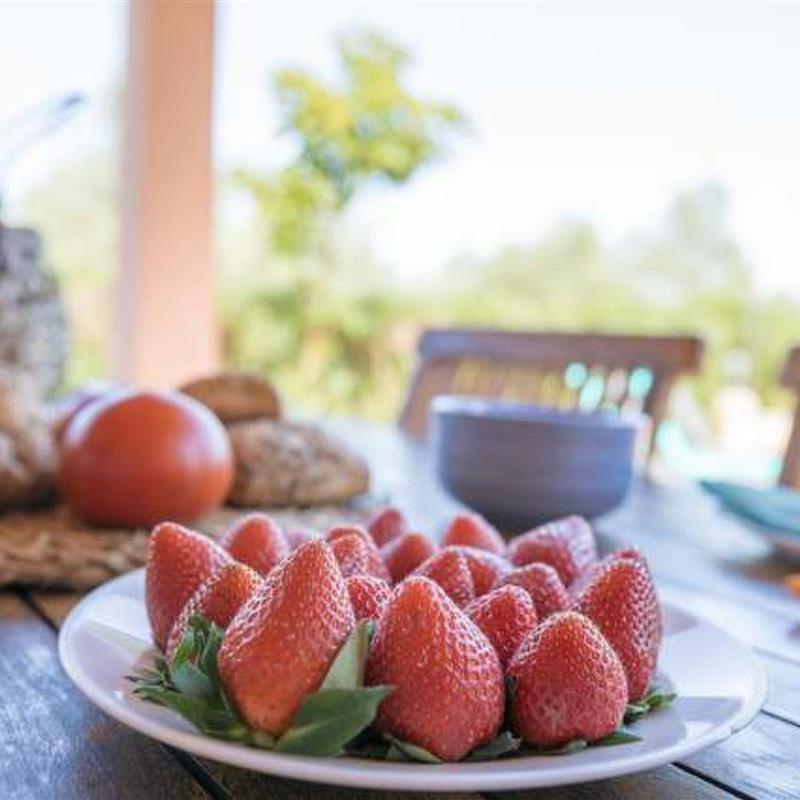 Sommerhus - 4 personer -  - Muro - 07440