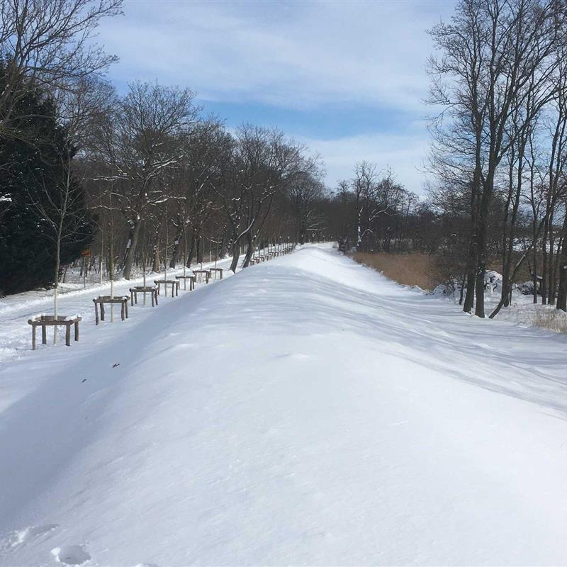 Ferielejlighed - 3 personer -  - Groß Kubitz - 18569 - Ummanz