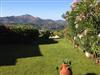 Bild 17