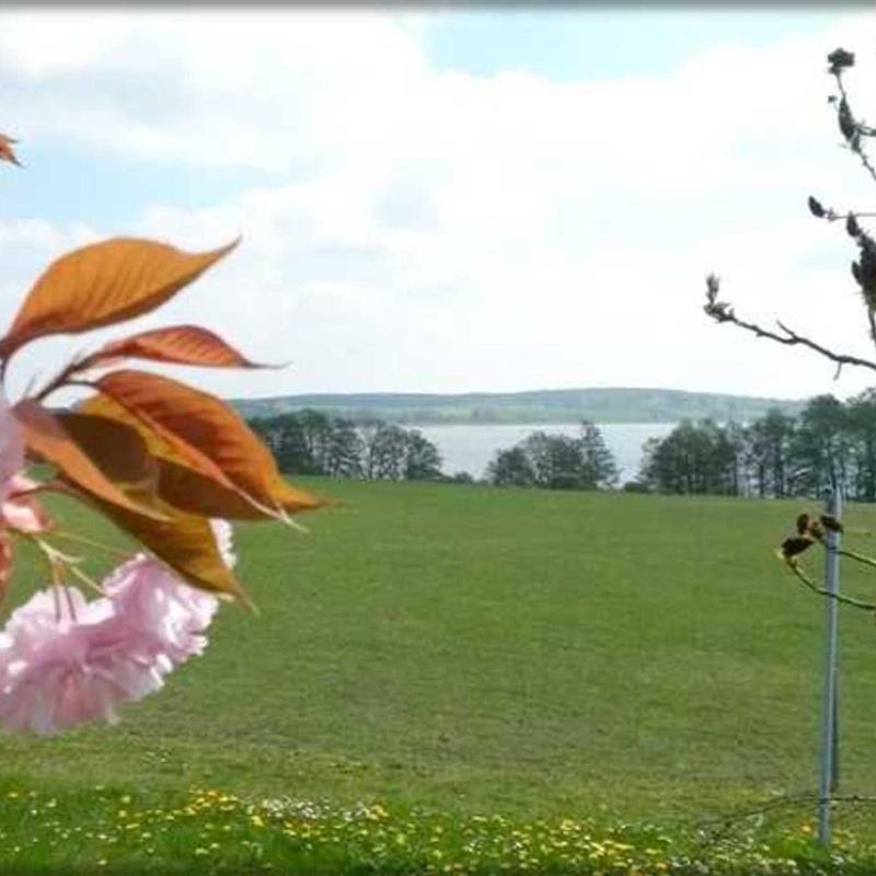 Ferielejlighed - 3 personer -  - Am Hang - 17255 - Wesenberg