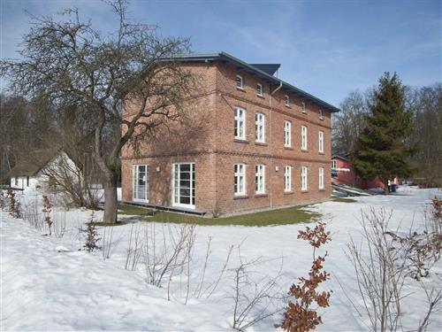 Ferienhaus - 7 Personen -  - Prohner Straße - 18445 - Klausdorf