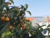Bild 21 - Aussen