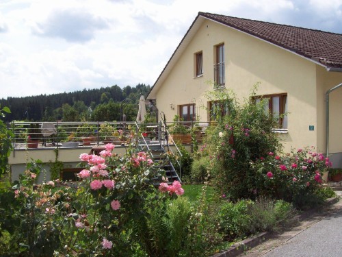 Ferielejlighed - 6 personer -  - Dorfplatz - 94227 - Rabenstein