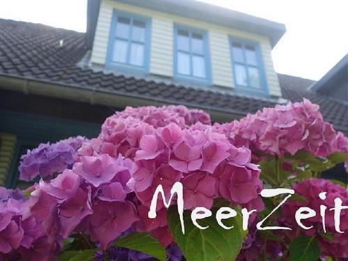 Ferienhaus - 5 Personen -  - Gorch-Fock-Weg - 25826 - St. Peter-Ording