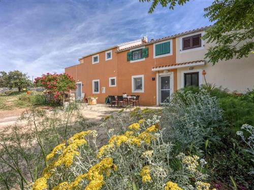 Holiday apartment - 4 persons -  - Bonic - 51551 - Bonic