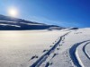 Bild 62
