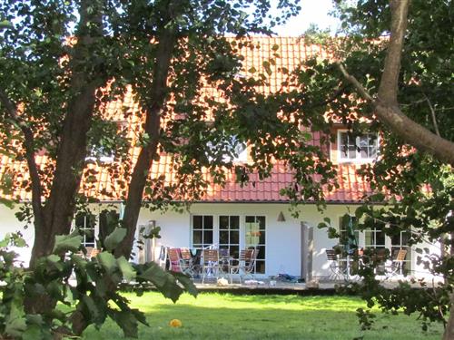 Sommerhus - 6 personer -  - Süderende - 18565 - Vitte