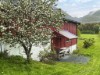 Image 11 - Outside