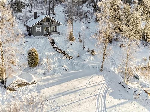 Sommerhus - 4 personer -  - Joutsa - 19650