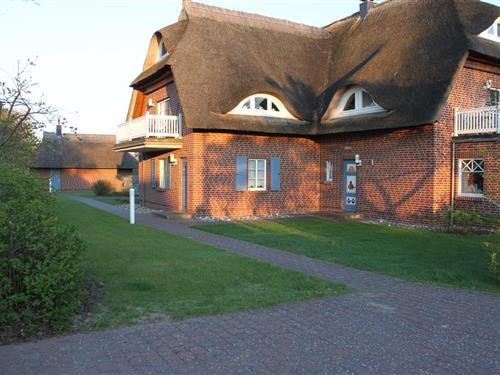 Ferielejlighed - 4 personer -  - Mittelweg - 18347 - Dierhagen