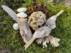 Billede 27