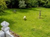 Image 29 - Outside