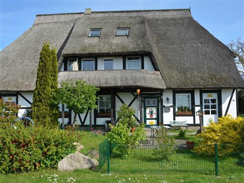 Sommerhus - 5 personer -  - Dorfstr. - 18586 - Middelhagen