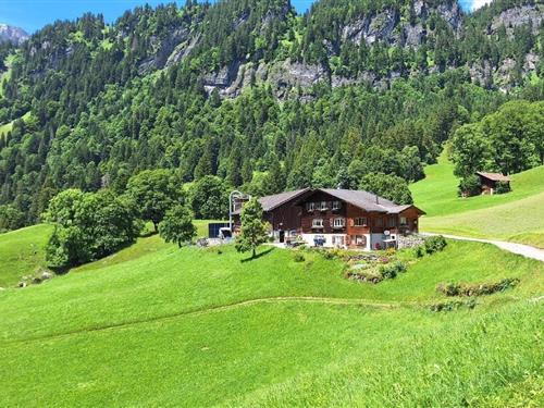 Holiday apartment - 4 persons -  - Rietbergstrasse - 8784 - Braunwald