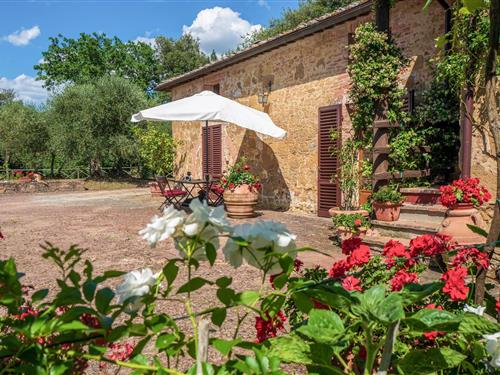 Holiday Home/Apartment - 6 persons -  - Strada di Fornicchiaia - 53100 - Siena