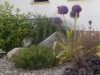 Bild 17