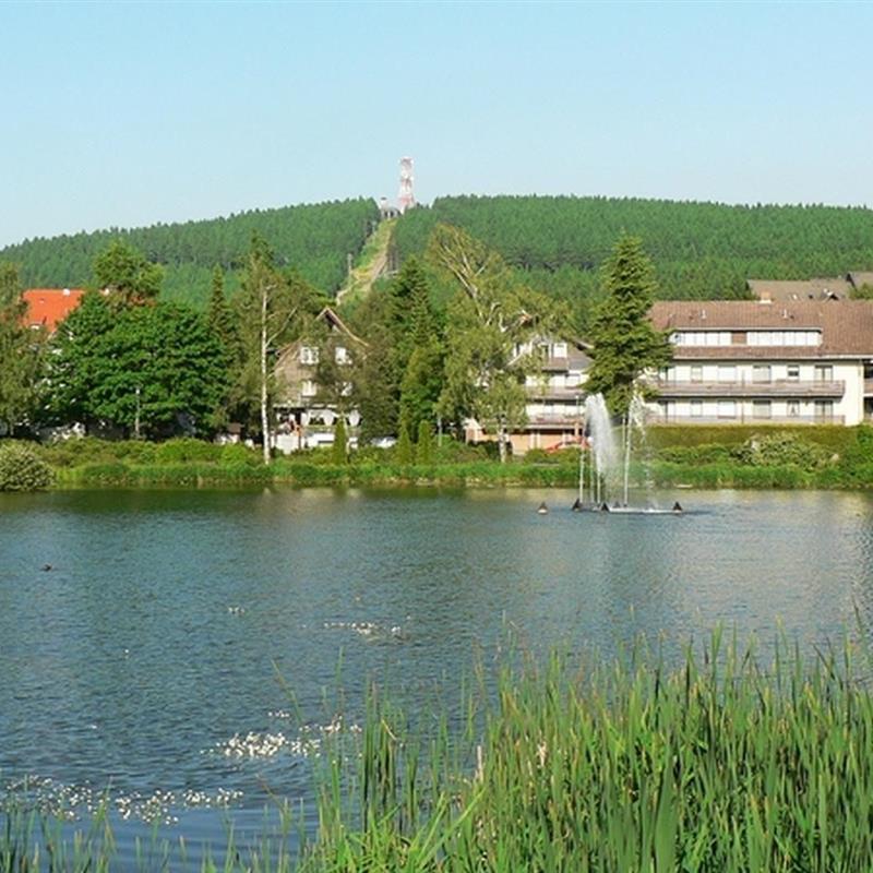 Ferielejlighed - 2 personer -  - Brünneleweg - 38644 - Hahnenklee