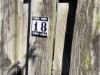 Bilde 4