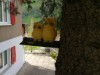 Bild 28 - Aussen