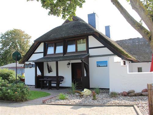 Holiday Home/Apartment - 4 persons -  - Dorfstraße - 18347 - Ahrenshoop