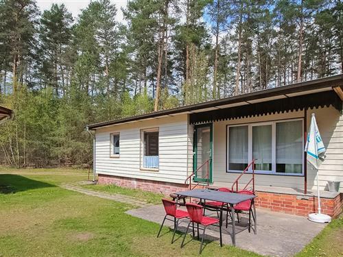 Ferienhaus - 4 Personen -  - Dreisee - 17279 - Lychen