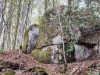 Bilde 36 - Ude