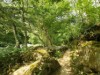 Bild 13