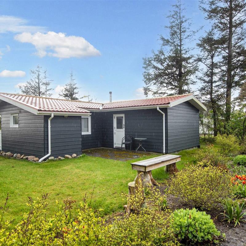 Ferienhaus - 5 Personen -  - Aborrevej - Skaven - 6880 - Tarm