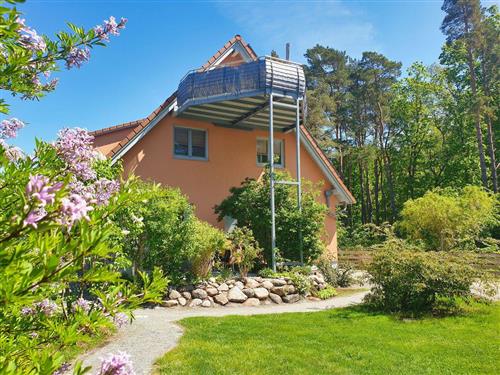 Ferieleilighet - 4 personer -  - Waldstraße - 18551 - Glowe Auf Rügen