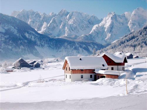 Ferieleilighet - 4 personer -  - Kirchenstraße - 4824 - Gosau