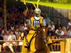 Billede 15