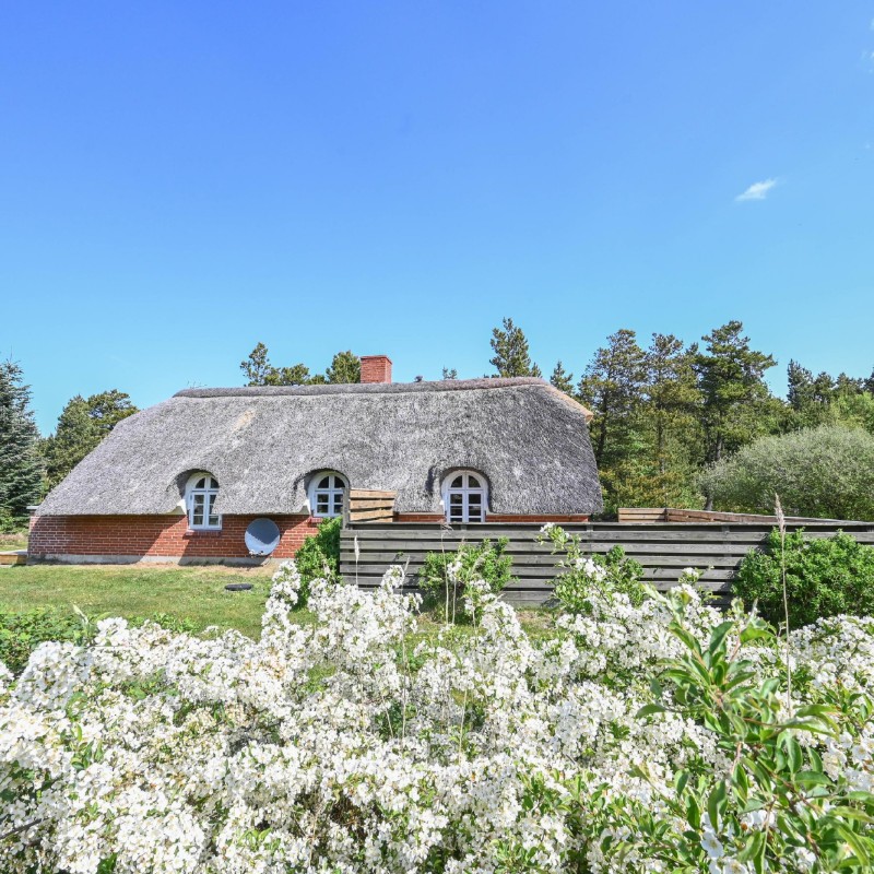 Ferienhaus - 6 Personen -  - Gaffelbjergvej - Vester Husby - 6990 - Ulfborg