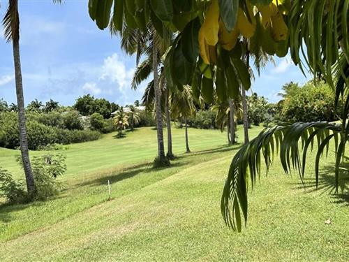 Holiday apartment - 4 persons -  - 97118 - Saint-Francois