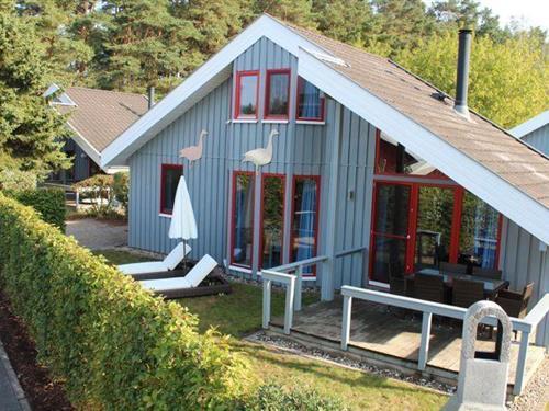 Sommerhus - 6 personer -  - Walter-Gotsmann-Straße - 17252 - Mirow