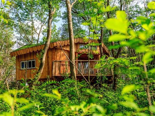 Feriehus - 4 personer -  - Bosweg - 9423 TA - Hoogersmilde